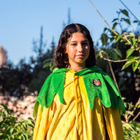 Grande cape Ananas đ